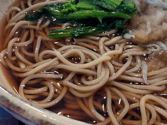 ランチ 春の天ぷらとシラスおろしそば 加茂ゴルフ倶楽部 千葉