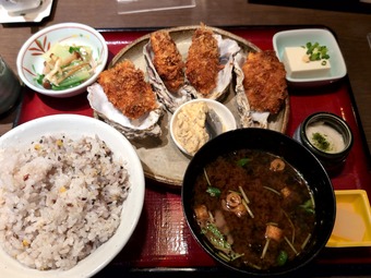 ���������ե饤�꿩 �˥塼�����ӥ�  ��������� ��������ɤ�