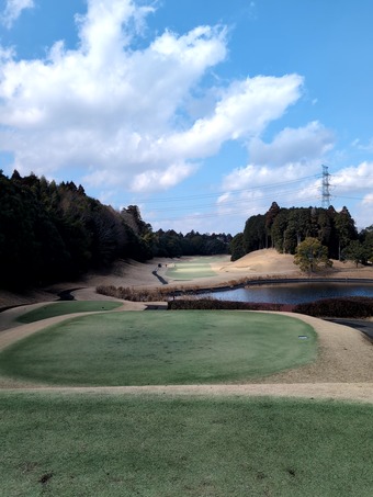 ������ �����ե���ȥ꡼����� ������� �������ǥ��������