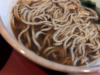���� �н���̣�� �˥塼�����ӥ� ð�Ȳ� ����Ф�  Ω����������̾Ź