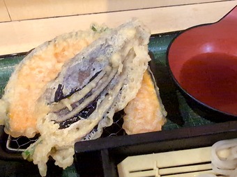 ���ŷ ����Į ���ʲ� �������� Ω����������