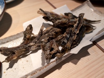 活きどじょう姿揚げ 神田 かず家 かずや 居酒屋