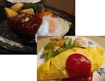 �������� ���������� ����ROCHE �ϥ�С��� ����饤��