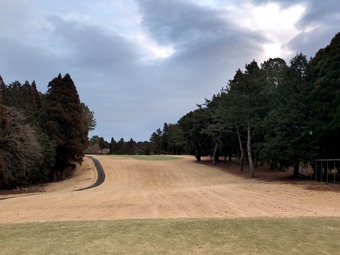 ������ �����ե���ȥ꡼����� ������� �������ǥ��������