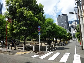 �ʥ�ǥ��˸ץ��� ���� ŹƬ ����Ω �������