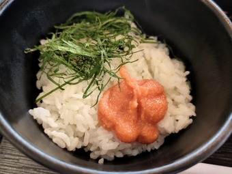 �����Ҥ��� ���ɤ� ���� ��ǽ�����μ�����ȥ꡼����� PGM