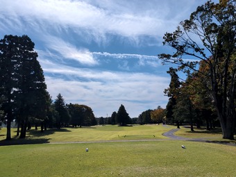 ������ȥ꡼����� ���� ����������ô���� ��̣�� ��ͧ��ư��