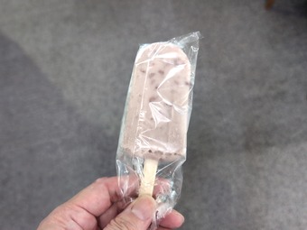 �����������ӥ� ��εܥ���ȥ꡼����� �Ƶ���ī���롼�����դ�