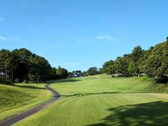 ������ ��εܥ���ȥ꡼����� �Ƶ���ī���롼�����դ� ����