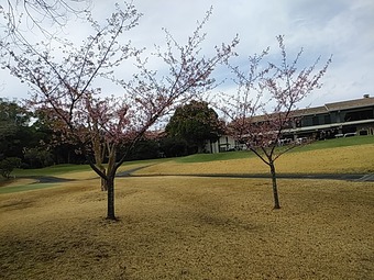 オークヒルズカントリークラブ 千葉 アコーディア 桜