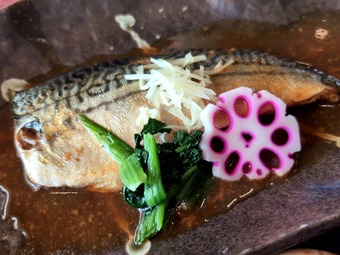 鯖の生姜煮膳 追加料金無し 千葉 グレンオークス 昼飯込みプラン