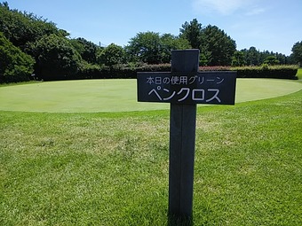 小田急藤沢ゴルフクラブ 神奈川名門 グリーン ペンクロス