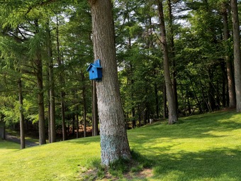 �ĵ�Υɽ����Ȣ �̳�ƻ �����奴��ն���� �����󤹤� ���ޤ��ߤ�