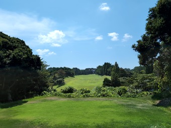 ������18��600y ��εܥ���ȥ꡼����� �Ƶ���ī���롼�����դ�