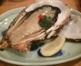 ���� ���� �䤬��