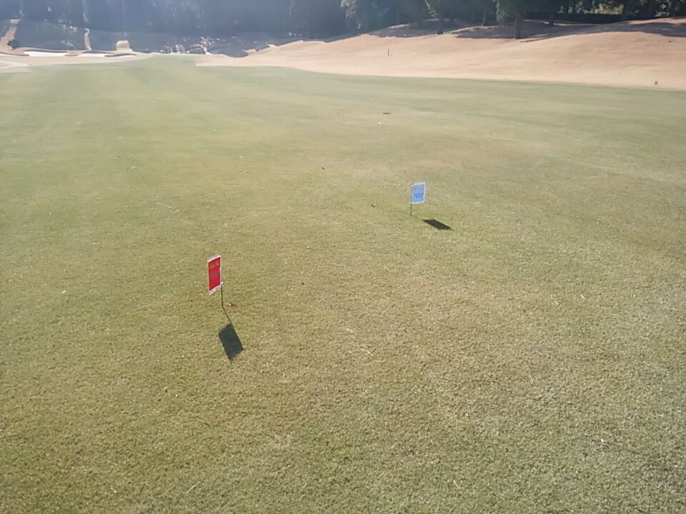 ハンド 東急 レッド セブン