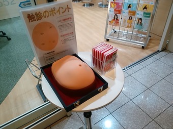 ��α �ݸ������ ���äѤ�