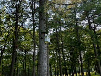 �ĵ�Υɽ����Ȣ �̳�ƻ �����奴��ն���� �����󤹤� ���ޤ��ߤ�