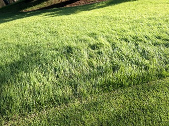 ��� ��εܥ���ȥ꡼����� �Ƶ���ī���롼�����դ� ����