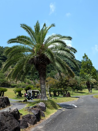 コース 鴨川カントリークラブ昼飯付き激安プラン アコーディア