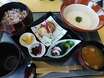 小田急藤沢ゴルフクラブ ランチ 昼飯 七穀米大鉢とろろ