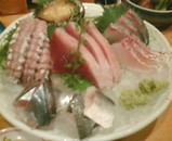 ���� ���� �ɿ�