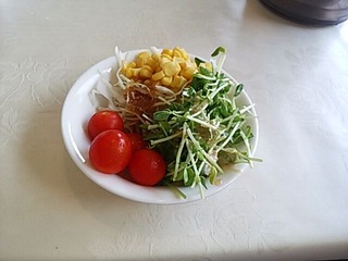 阿蘇リゾートグランヴィリオホテルゴルフ場の昼飯 サラダ