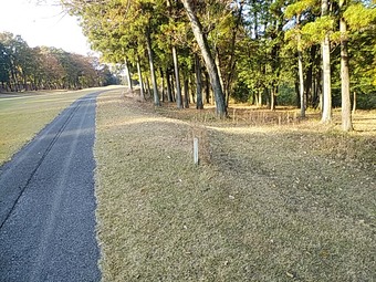 栃木 鹿沼カントリークラブ 焼肉ランチ 風の大地 OB杭