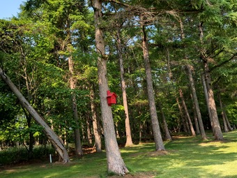 �ĵ�Υɽ����Ȣ �̳�ƻ �����奴��ն���� �����󤹤� ���ޤ��ߤ�