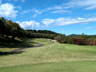 ������ ��ǽ�����μ�����ȥ꡼����� PGM