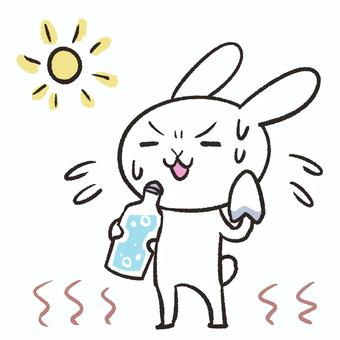なんて日だ( *´艸`)