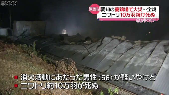 関西人のまとめブログ？超絶悲報[動画あり]養鶏場で火事！ニワトリ10万羽が焼け死んで１０万羽が焼き鳥に！　コメントする