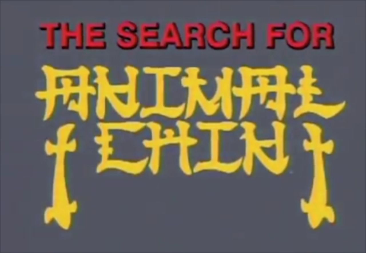Search For Animal Chin アニマル チンを探して Jocks Skateboard Blog Search For Animal Chin アニマル チンを探して Jocks Skateboard Blog