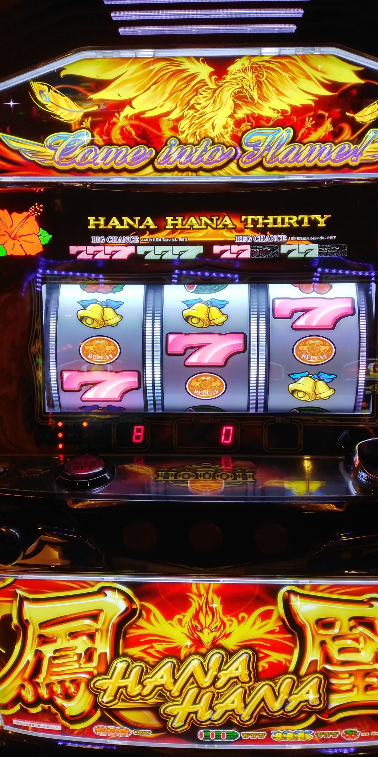 先ペカ当たり前 ハナハナ鳳凰で生入ビッグ初体験 普段は白７でビッグ狙います 目指せａ１級ギャンブラー