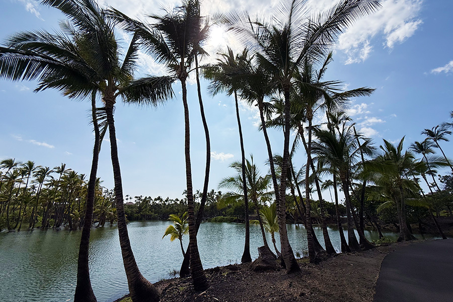 2025年8月ハワイ旅 第49話 □ 世界三大パワースポットと言われる