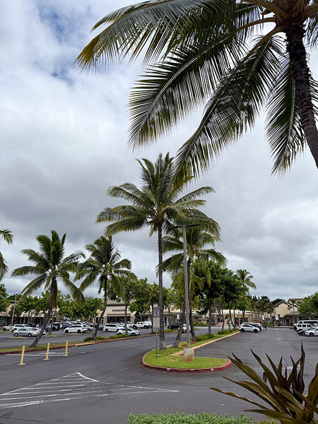 ワイケレアウトレットで買い物 2