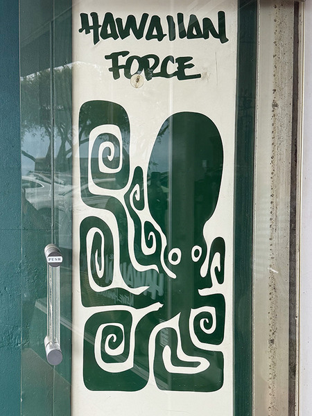 HILO HAWAIIAN FORCE 5