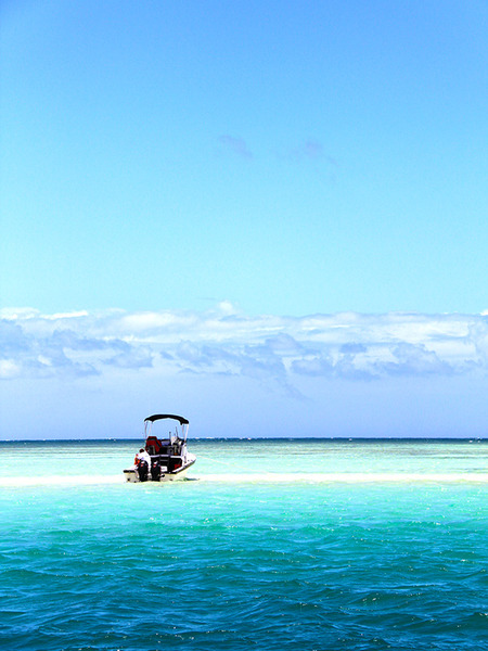 2026年4月のハワイ旅行が決まりました 5