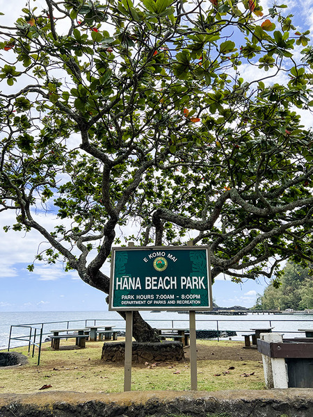 hanabeachpark 1
