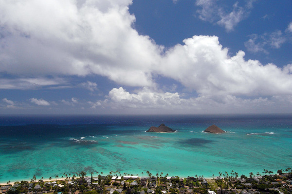 マラマハワイ ポノトラベラー 2