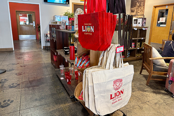 lioncoffee cafe store 10