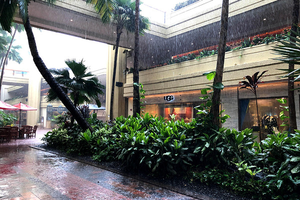 ハイアットのローカルモーションで雨宿り 1