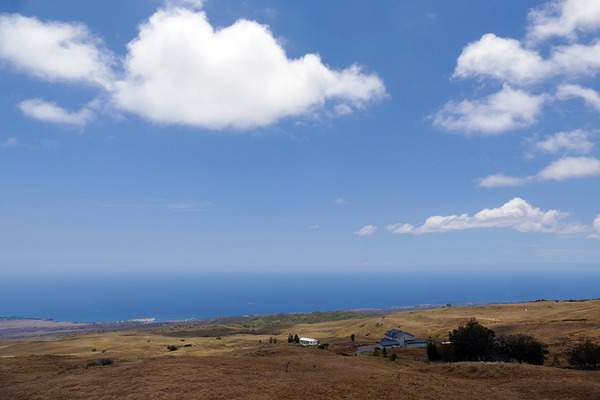 コハラの峠道は最高です 5