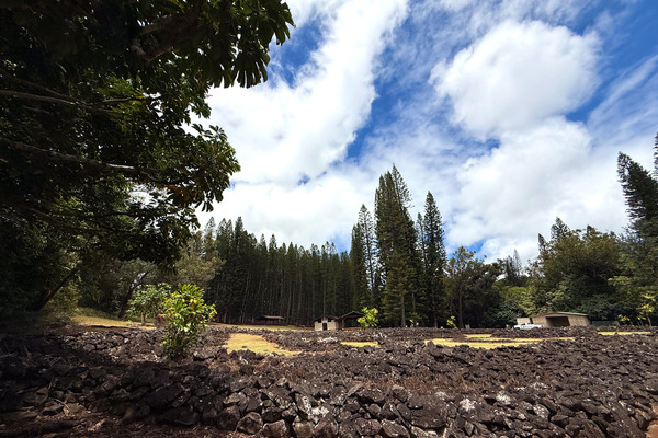 ハワイ癒しのパワースポット 3