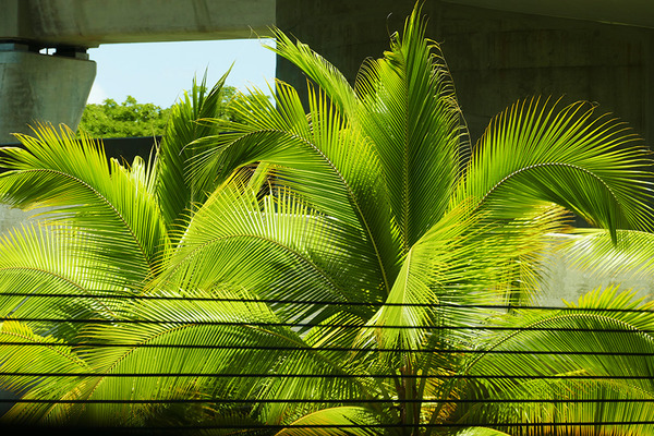 Hertzでレンタカーを簡単に借ります 8