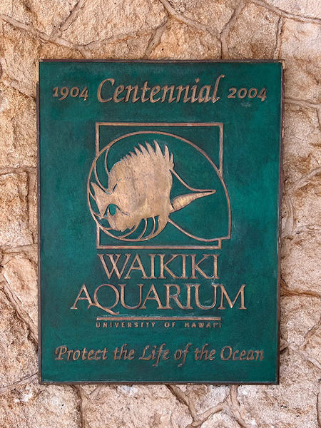 ワイキキ水族館 2