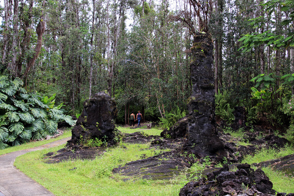 lava tree 5