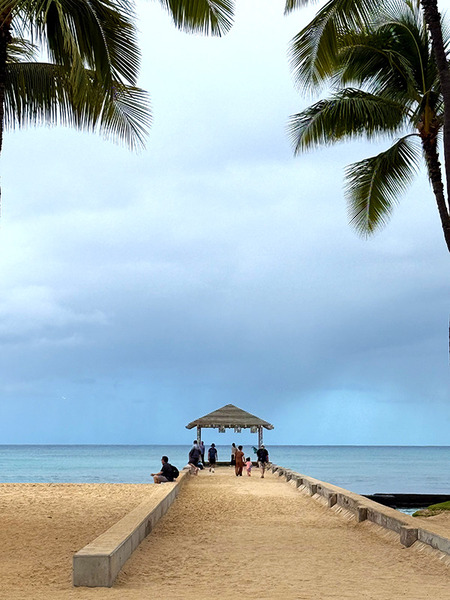 ハワイアンアロマカフェの最新店 8