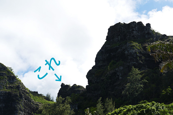 クラウチングライオンレストラン 5