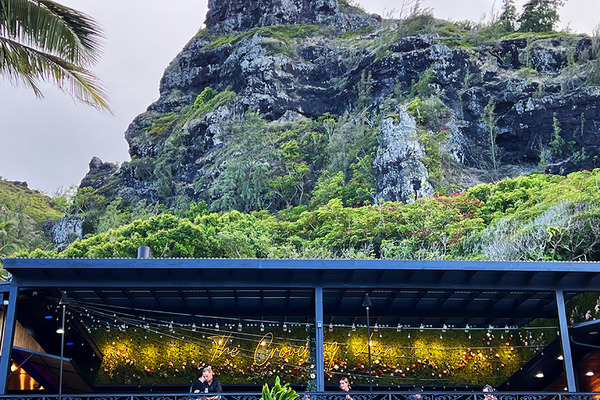 クラウチングライオンレストラン 8